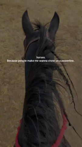 Having broke horses > people. 