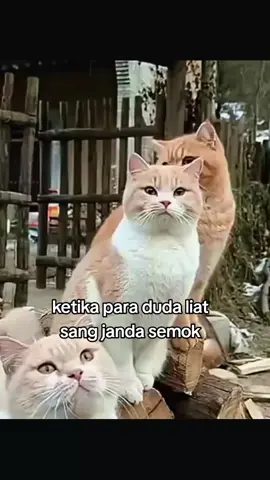 😀😀😀