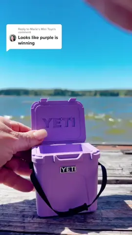 #miniyeti #miniature #trending #fyp #mariesminitoys 