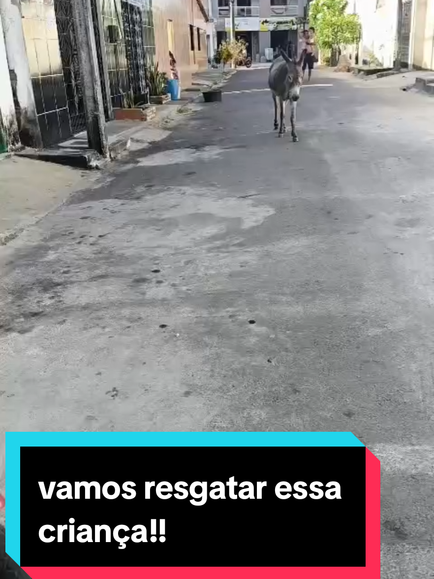 gente tirar essa inocente do sofrimento e um ato de amor!!