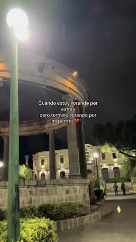 💔 #paratiiiiiiiiiiiiiiiiiiiiiiiiiiiiiii #perro #teextraño #zxycbaシ #🕊️ 