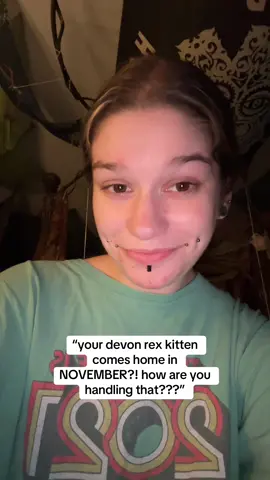 handling it SUPER well actually 😃 #anticipation #devonrex #wellbredpurebred #purebredcat #cattok 