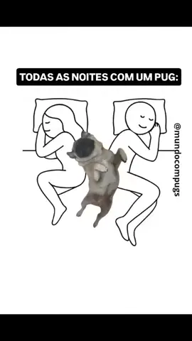 já segue a gente 😍🐶🤣