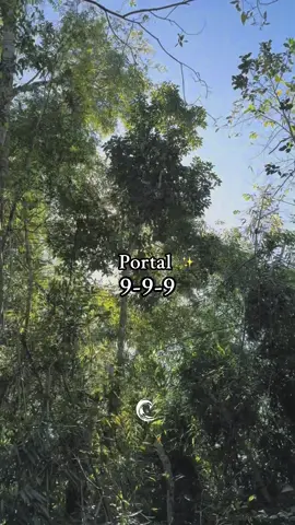 ✨✨ Portal energético 9-9-9✨ Es muuuuy especial porque se activa la frecuencia del número 9, número de cierre, completud y renacimiento 🌀 Siguiendo con la energía del eclipse mas este portal obviusly se siente fuerte en el cuerpo, cansancio, energías bajas, replantearnos vínculos, hábitos y la vida en sí 🫠 Al repetirse en este portal tres veces (9:9:9), su energía se potencia y nos invita a cerrar ciclos kármicos, sanar memorias del pasado y abrirnos a lo nuevo [ aprender a recibir sin culpas ]🧚🏼‍♂️ Ritualcito sencillo con la energía de San Zadquiel Arcángel 💜 - Visualizá una caja en la cual depositas todo aquello que queres liberar (patrones, creencias, situaciones, vinculos, etc..)  - Invocá la poderosa y transmutadora presencial del Arcángel San Zadquiel para que envuelva esa caja y a vos en su rayo violeta 💜 - Visualizá como desaparece esa caja, dando gracias y pedile qué queres materializar ahora que hay lugar 🔮 Podes escribirlo en una hoja y guardarlo o sentirlo por un largo rato visualizando mucho y fuerteee 🫶🏻 Que todo lo que manifiesten se materialice siempre para el mayor bien de todoss 🧚🏼‍♂️🧚🏼‍♂️ (Y si estas pasando momentos dificiles, de dolor de tristeza, entrega todo eso a la energia amorosa de este Arcángel, que traiga paz y alivio a tu corazón)❤️‍🩹 Comenta con emojis violetas para intensificar la energía transmutadora 💜🔮 Feliz portal ✨✨ Los abrazo! Vic 🧚🏼‍♂️