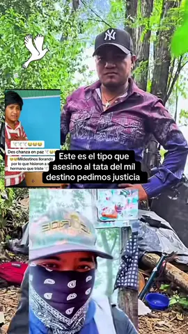 #LanguageLearning #greenscreenvideo #tiktok #tiktok #paratii 