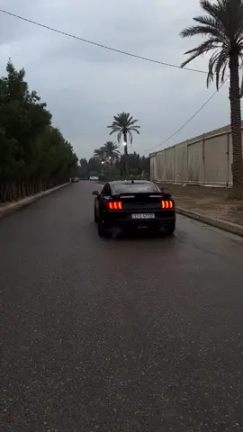 تبارك الله  #لايك #الشعب_الصيني_ماله_حل😂😂 #اكسبلور #موستنج #حنطور🐎 