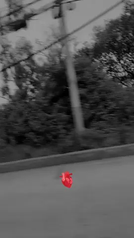 #papáenelcielo #Viral #paratiiiiii 