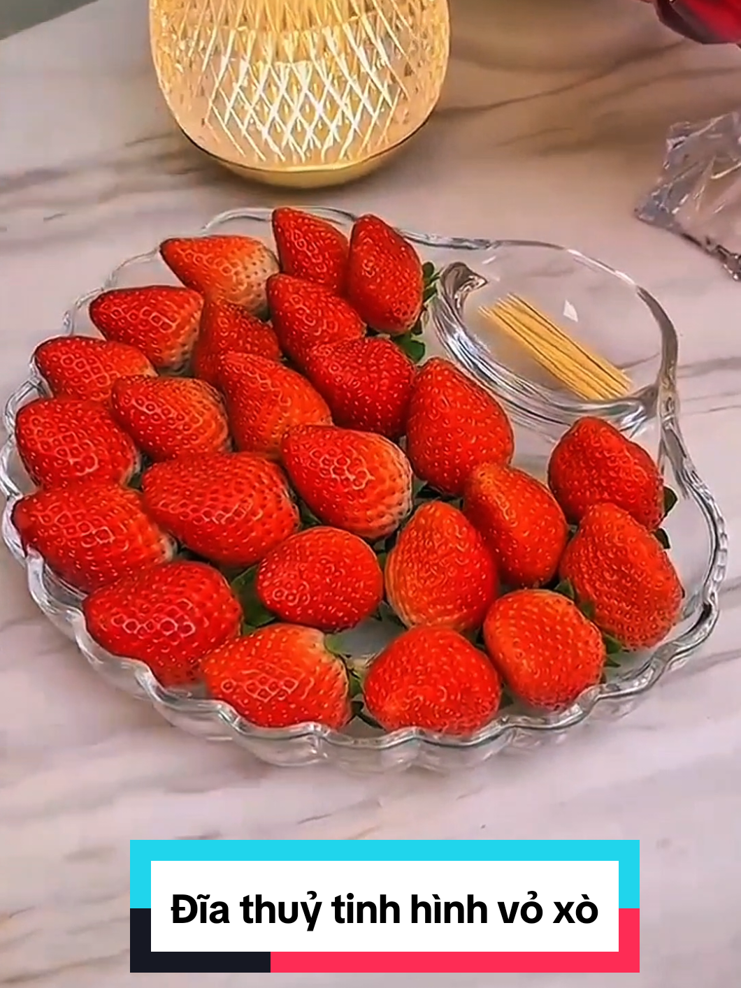 Đĩa thủy tinh hình vỏ sò dày dặn có ngăn đựng nước chấm tiện dụng đa năng #diathuytinh #diahinhvosothuytinh #diavoso #diathuytinhphale 