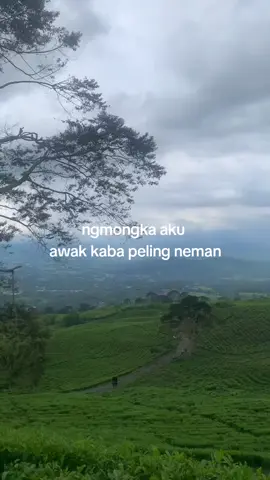 fyp#jemekite #Lahat #pagaralam #sumatraselatan 