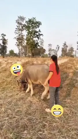 😆😁#videoviral #komedi #fypシ゚viral 