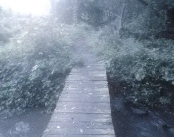 имя твоё - больше юры в моем тгк #songvstf #вышелпокурить #авангард #вп #юраавангард 