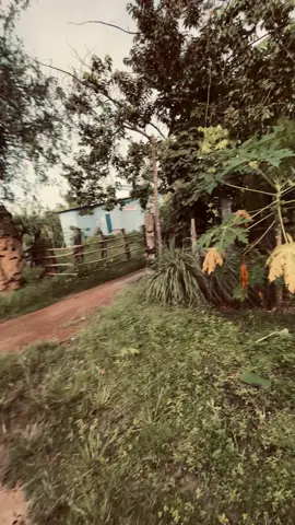 ផ្ទះកំសត់អើយ ចាំមើលថែម្ដាយ យើងផង..😓👋🏼