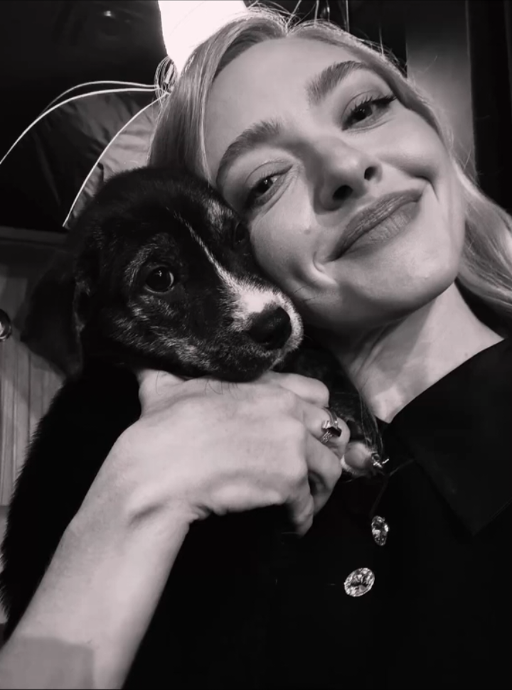 The Testament of Ann Lee tiff_net 🐕‍🦺s  #amandaseyfried  #VeniceFilmFestival   #viral #fyp 