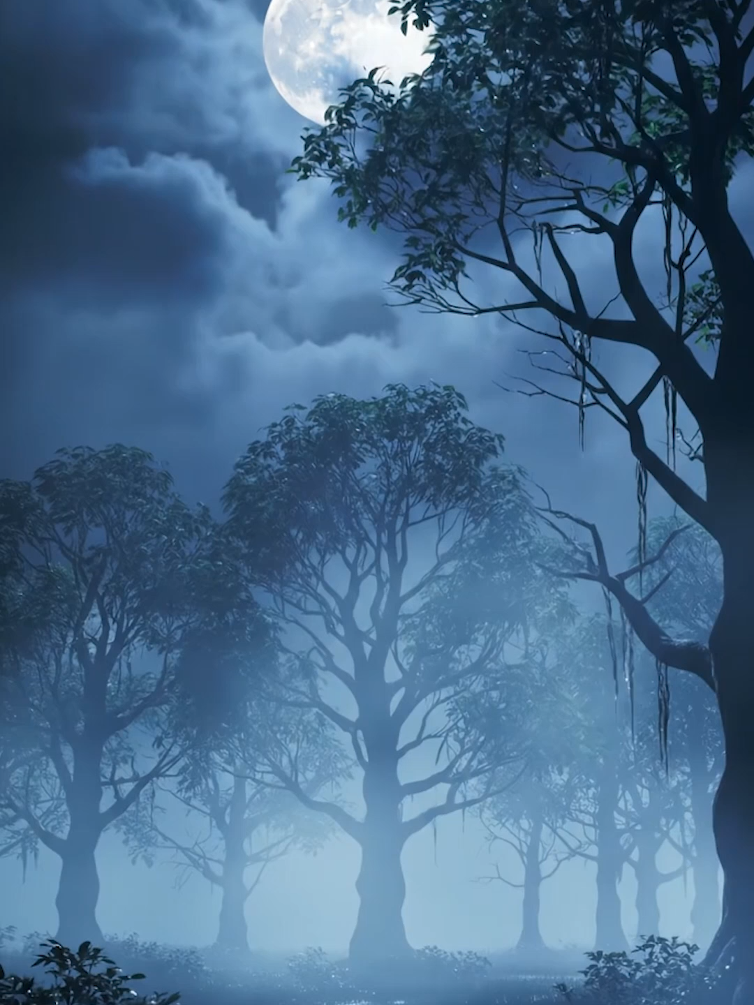 #scenery #relaxing #calm #night #feelings