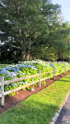 :( #newengland #capecod#summertime#coastaltown#trending 