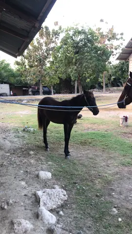 #Gadis Mila Ate #Luna Tera #45 grup🔥 #fyppppppppppppppppppppppp  #fyp 