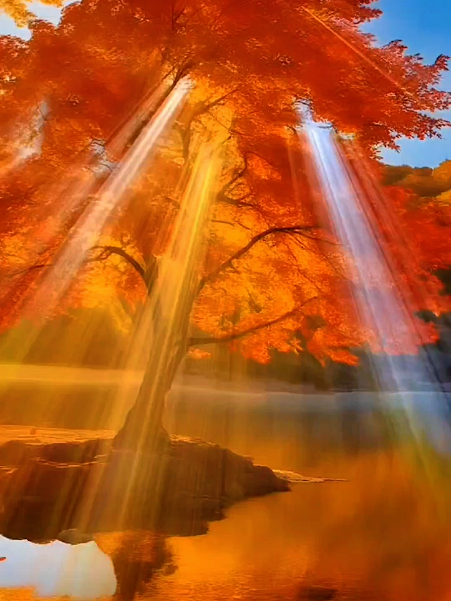 #CapCut  #доброгоранку  #мирногосвітанку🙏  #гарногодня🥰 