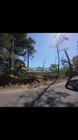 Lowkey #zombieapocalypse #twd 