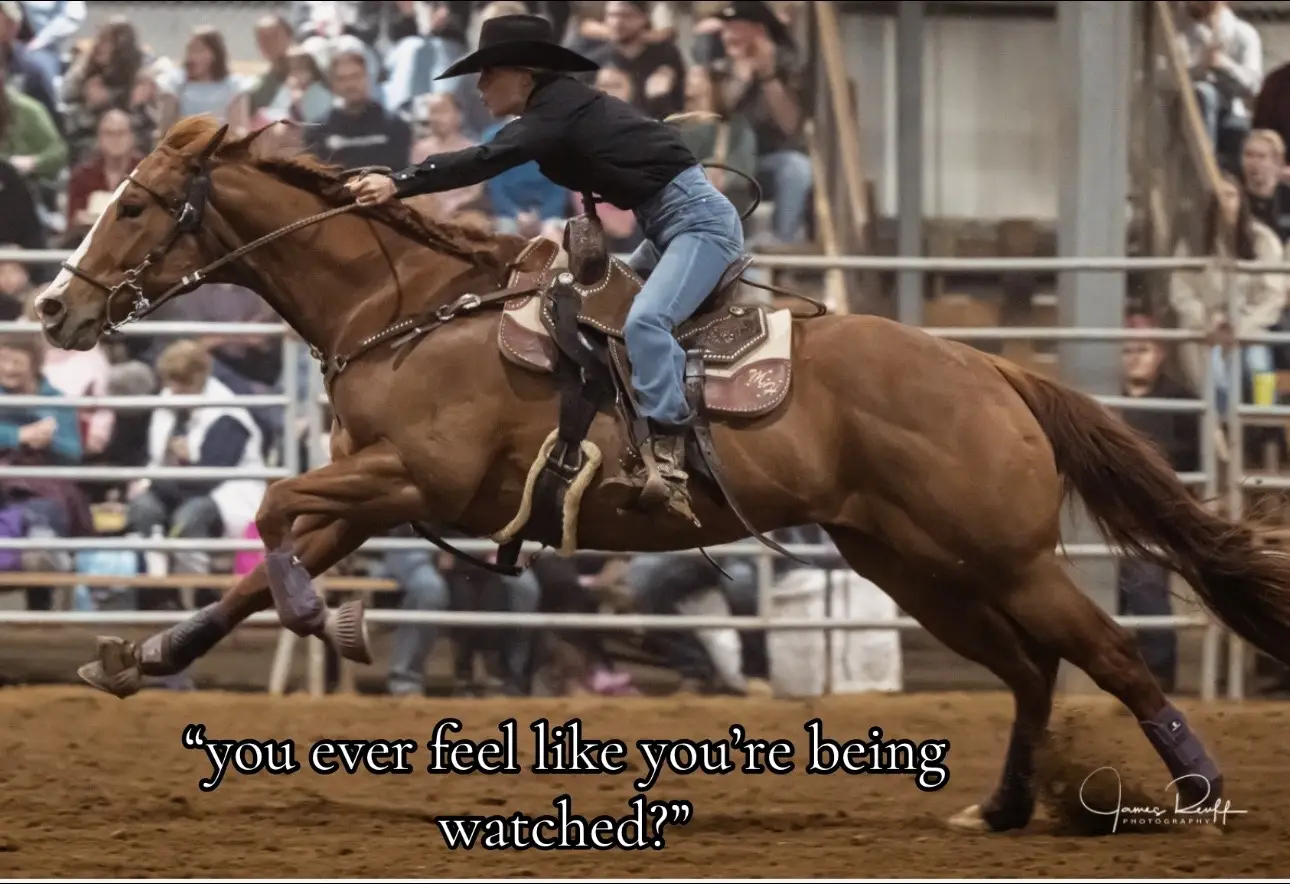 #mlhbarrelhorses #fypage #fypシ 