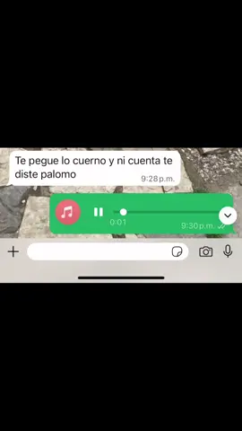 @808sagrado🦦 #audiosdewhatsapp 