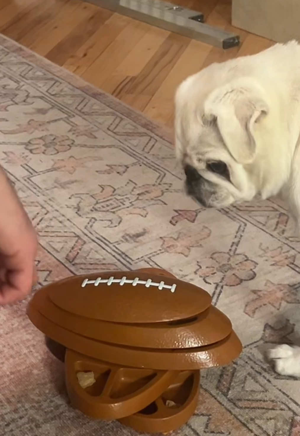 Learning about football from stepdad 😌