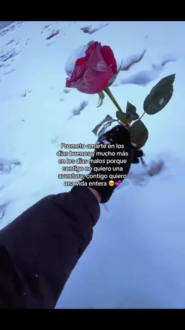 #fpyシ #foryou #mylovemylife #mylove #miamor😍 🥺🥺🥺❤️