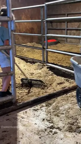 Farm kids🤣🤣#kids#funny#farmlife #fyp