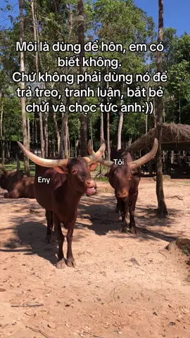 #VinWonders #GreenCreator #dulich #vinpearlsafariphuquoc #n3w4fkc 