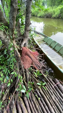 Thôi bây giờ anh đi về nông thôn với em🥰#mientayquetoi🌴🌴🌴🌴🌴 #miensongnuoc 