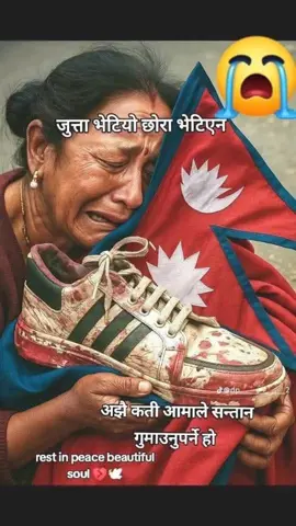 #😥😥😥😥😥 #creatorsearchinsights #fypppppppppppppp 