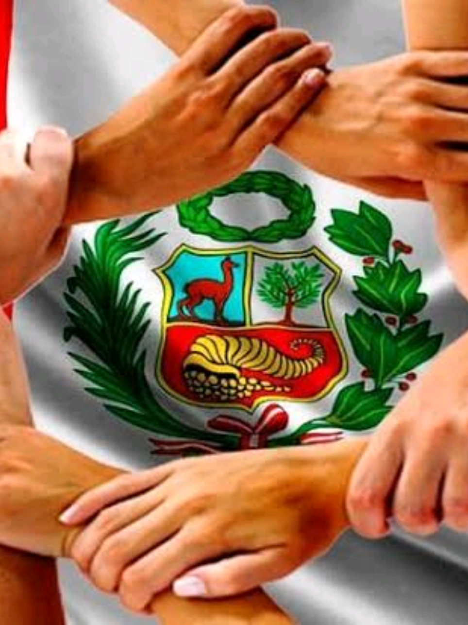 Perú al borde del colapso. La corrupción y la mafia han tomado el Estado y las calles. Es hora de despertar: los ciudadanos debemos unirnos para reestructurar el país y expulsar a los corruptos.  El futuro del Perú está en nuestras manos. #Perú #Corrupción #Justicia #UnidosPorElCambio #Peruanos @Willax Noticias @RPP Noticias @La República @Diario El Comercio @Latina Noticias @ARTURO_FERNÁNDEZ_2026 🇵🇪 @CNN @Ricardo Belmont Cassinelli @REYNALDO LÓPEZ V. 