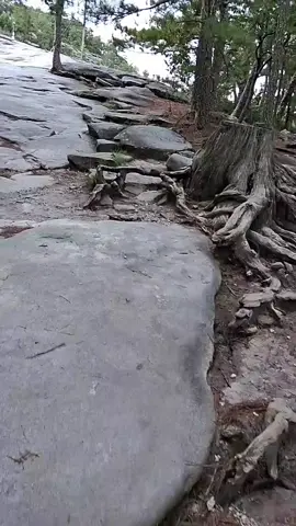 we hiked stone mountain today. ♡♡ 