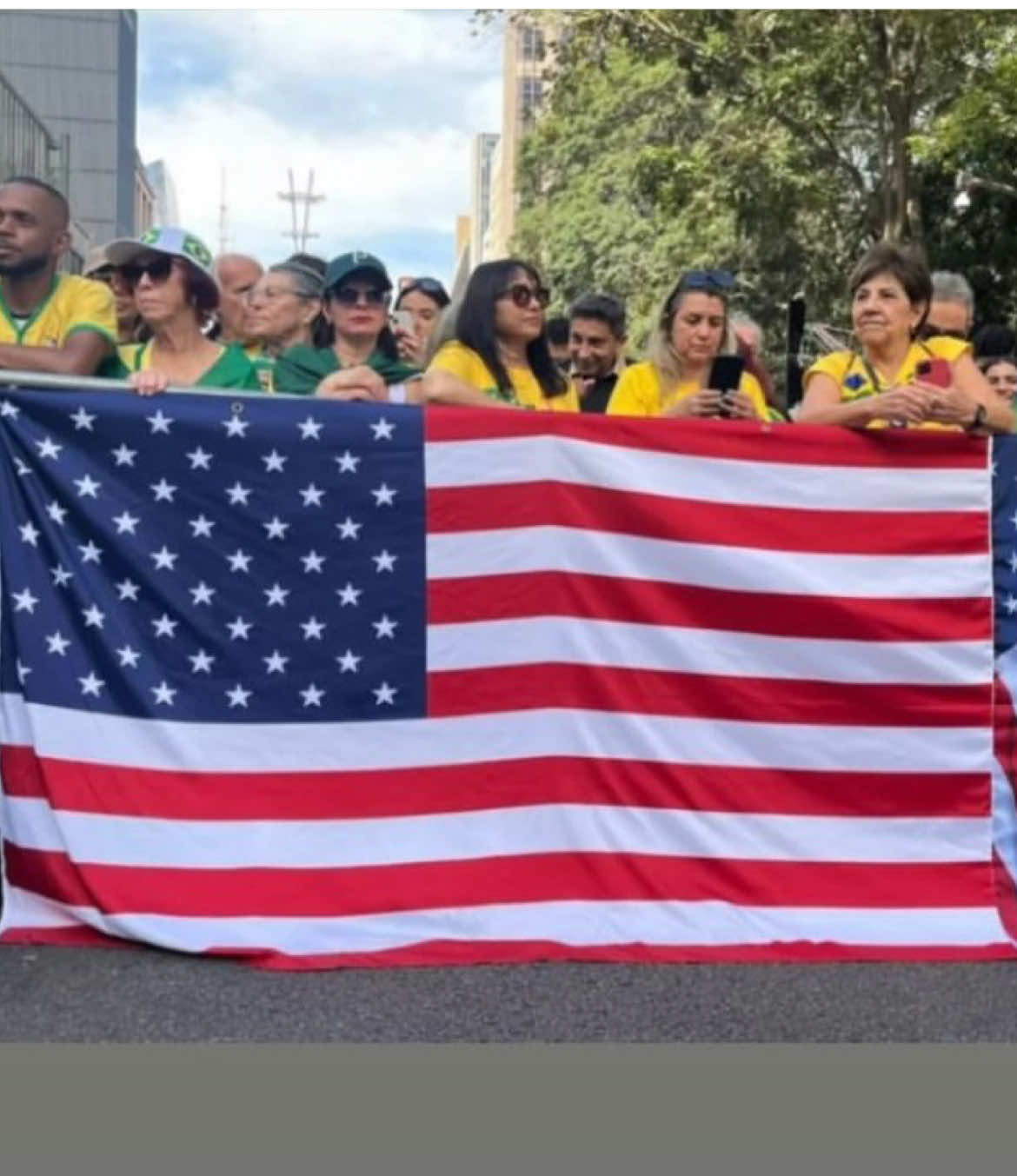 O gado se recusa enxergar as provas#fyp #gado #grok #bolsonaristas #bolsonaro 