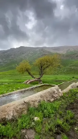 “فَلَا تَعْجَلْ عَلَيْهِمْ ۖ إِنَّمَا نَعُدُّ لَهُمْ عَدًّا” – سورة مريم، الآية 84 #سعود- الفايز#القران #القرانالكريم #تلاوة_خاشعة #راحه_نفسيه #مشاهدات #اكسبلورexplore #السعودية #اكتب_شي_توجر_عليه #سبحان_الله_وبحمده_سبحان_الله_العظيم #استغفرالله  �