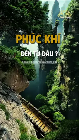Phúc khí đến từ đâu ? #xuhuong #viral #salamall #trietlycuocsong #phatphapnhiemmau #phongthuy 