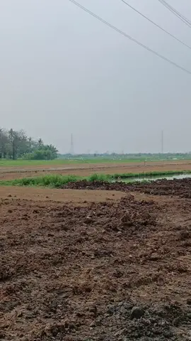 supir teneh mah ulah di demo di bere hujan geh meweng supir tanah mah🤣#fypp 