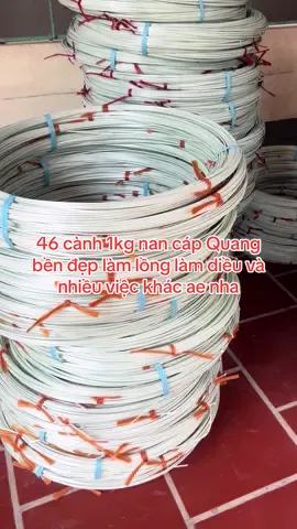 #nan cáp Quang bền đẹp chỉ 46 cành 1kg ae nha #combo #chimcanh #dieusaovietnam #chimchaomao 