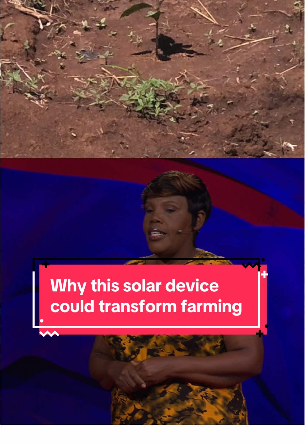 In the face of climate uncertainty, this simple device powered by the sun is a game changer, says farmer Josephine Waweru. In her TED Talk, she explains how a simple water pump powered by solar energy has allowed her farm not only to survive but to thrive, marking an exciting step in the right direction for a more secure future. Visit the 🔗 in our ☣️ to hear her full story. #farming #solarpower #climateaction #tedtalk 