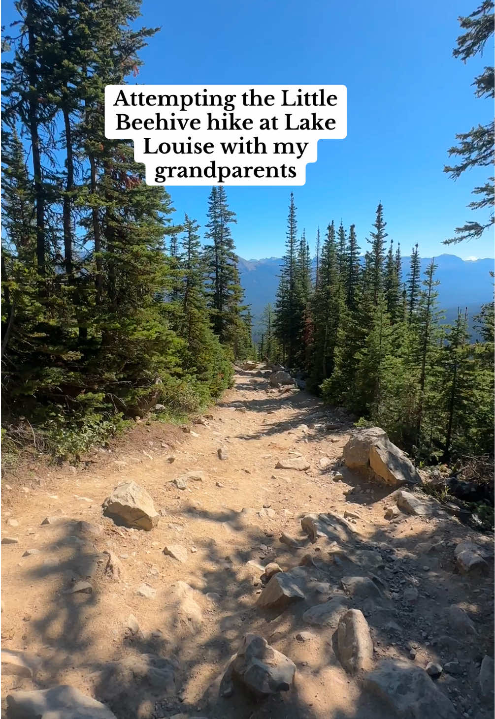 I mean 1,100 feet incline for a 73yr old isn’t bad 🥳 #lakelouise #littlebehive #banff