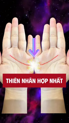Thiên nhân hợp nhất #coutxemtay 