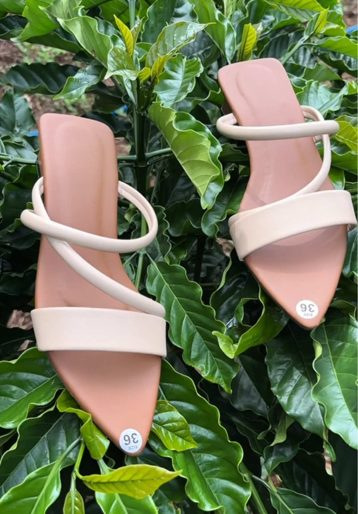 Dép nữ 2quai chéo mũi nhọn gót vuông#videpxinh #depnu #giaydephottrend  @vy dép xinh  @vy dép xinh 