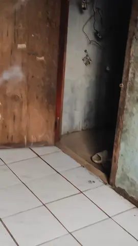 🤩 #variomodifikasi #varioledold #fypage #fyp #xbcyza 