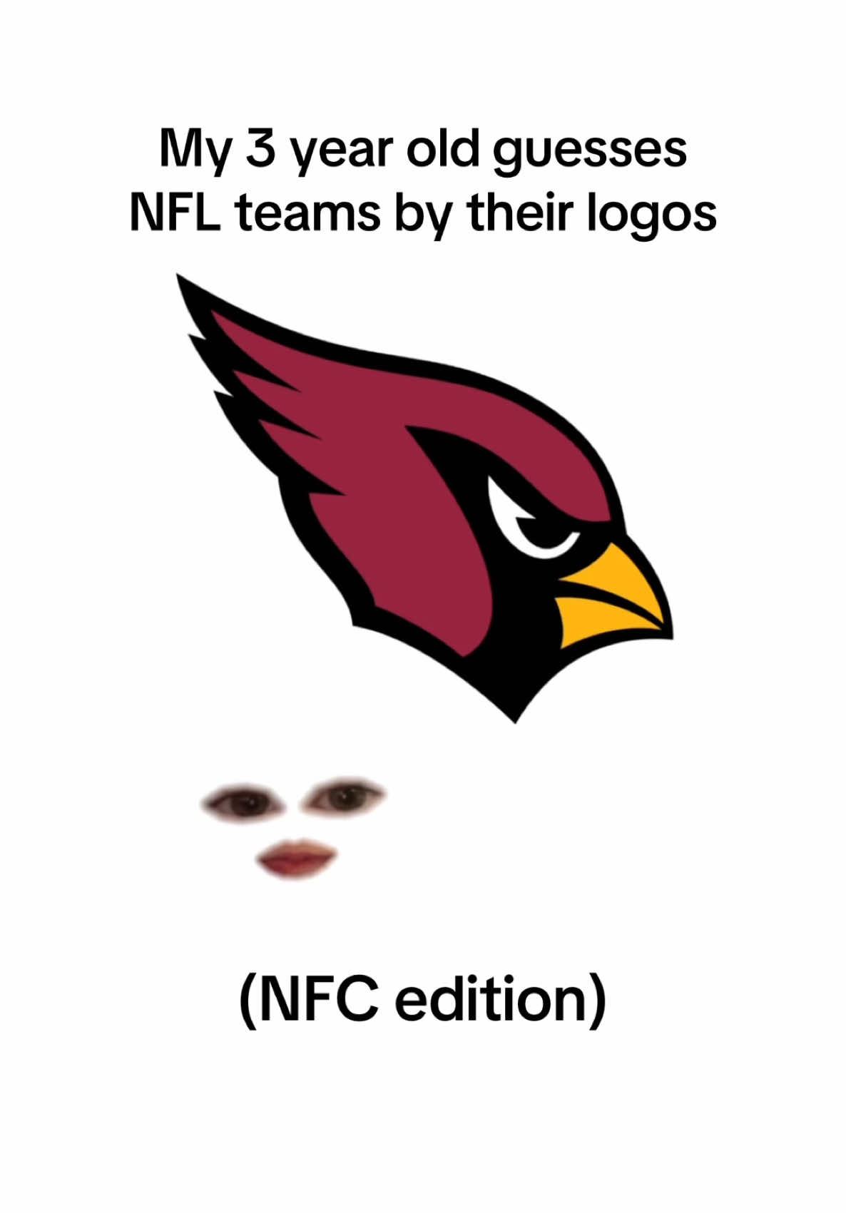 Girlie was shocked there’s so many birds 😂 #nfl #guesstheteam #nflfootball #footballseason #CapCut @NFL 