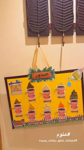 #علوم #لوحة #النباتات #ثاني_ابتدائي #البذور 