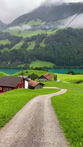 #قال_ربي_اجعل_لي_اية #حامد_شاكر_نجاد 