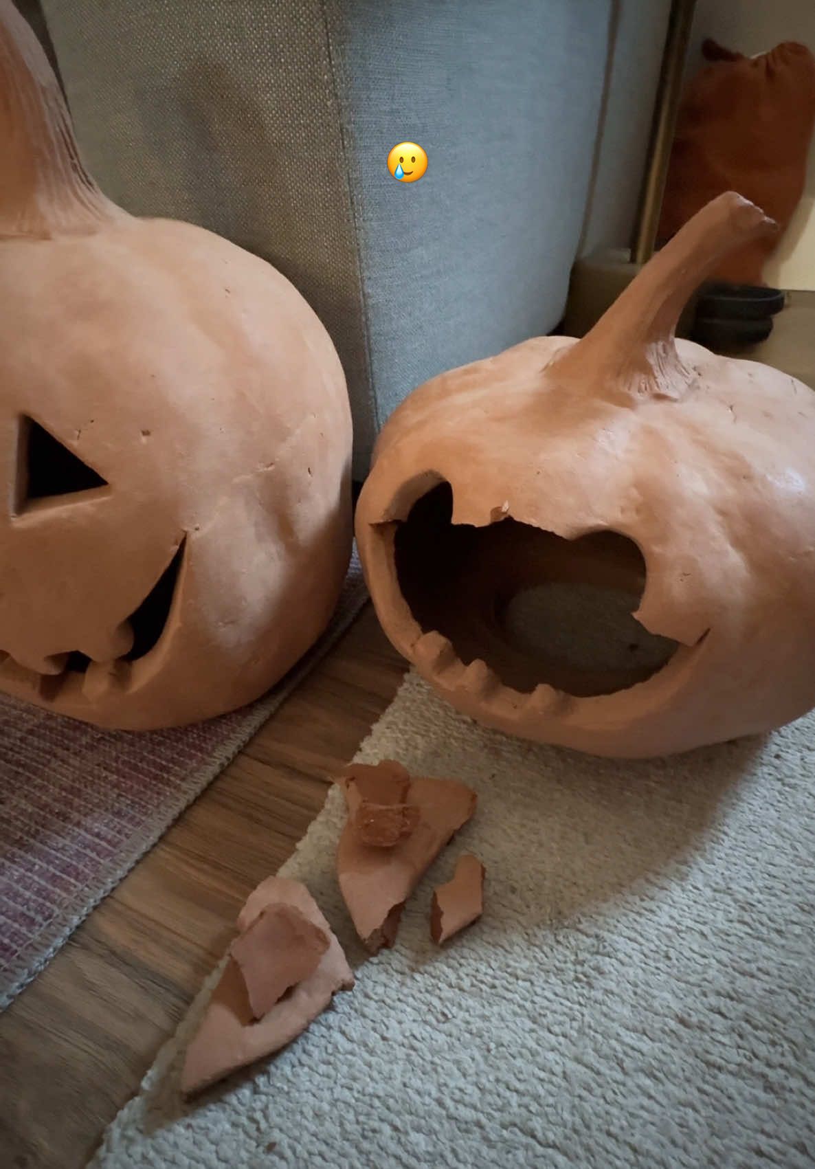 First world problems… but it still broke my heart 🥲🎃 #relatable #dogmom #doglife #nothisfault #fypシ゚viral @potterybarn 