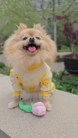 Winston will take care of you🩷❤️⚘️🌸 