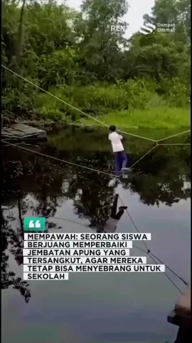 Terimakasih anak baik. Semoga segera diperbaiki 🙏 Seorang siswa dengan semangat yang luar biasa, menyebrang sungai meniti seutas tali. Langkah demi langkah dengan penuh kehati-hatian, bukan tanpa alasan dia berjuang agar bisa menjangkau perahu rakit yang tersangkut. Sedangkan teman teman nya menunggu dengan penuh harap dan kepercayaan, akhirnya perahu/jembatan apung bisa ditarik disertai riuh tepuk tangan.  Kondisi perahu apung itu pun sudah terlihat rapuh, ditopang oleh beberapa drum dengan pijakan lantai yang sudah rusak. Semangat kalian luar biasa, bahaya bisa mengintai kapan saja, tapi itu tidak menjadi alasan untuk kalian tidak Melanjutkan pendidikan 😭 Semoga Pemerintah setempat dan instansi terkait segera merespon dan bertindak cepat. Lokasi: Sungai penghubung 2 Desa, Desa Peniti Besar dan Desa Peniti Dalam II Kecamatan Segedong Kabupaten Mempawah, Kalbar Video: Istimewa/warga #fypage  #anaksekolah  #perjuangansekolah #indonesia #viral 
