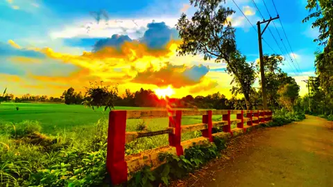 এতো আপন মানুষ দিয়ে কি হবে যদি প্র‍য়োজন ছড়া কেউ মনে না করে......🥹❤️‍🩹🌿#প্রকৃতি #sky #anfeezemyaccont #greenscreen #viral_video_tiktok 