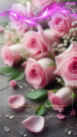 день красоты 